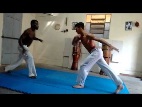 Patolino capoeira perdido