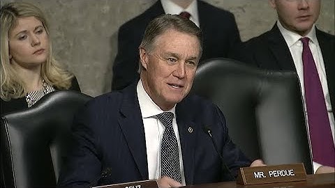 Senator David Perdue in SASC Hearing on U.S. Policy & Strategy in Middle East
