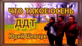 ДДТ - ОСЕНЬ - ЧТО ТАКОЕ ОСЕНЬ - ЮРИЙ ШЕВЧУК. РУССКИЙ РОК. НОСТАЛЬГИЯ... 338.