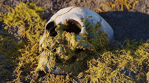 Grow Cordyceps Fungus over any Object | Blender Tool