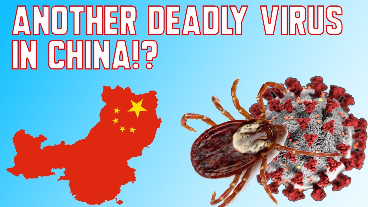 Another Deadly Virus in China!? | Novel Bunyavirus