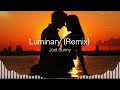 Luminary (Remix with extended chorus) - Joel Sunny