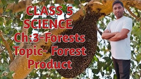 CLASS-V SCIENCE Ch-3 FORESTS (Part-2) Topic- Forest Products