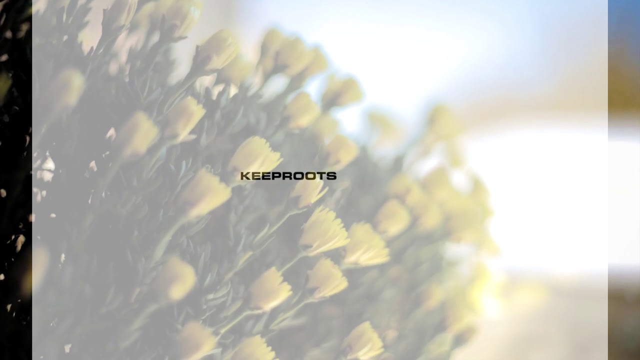 FREE ] KEEPROOTS beattape “CRAZY AGAIN ” / Chill Type Beat 2019