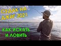 СУДАКИ ДУРЕЮТ ОТ ТАКОЙ ПРИМАНКИ! ХИТ НА СУДАКА! Рыбалка на судака 2021! Ловля судака на джиг летом