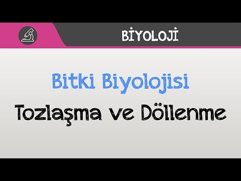 Bitki Biyolojisi - Tozlaşma ve Döllenme