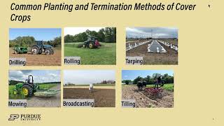 2024 South Dakota Virtual Vegetable Short Course: Summer Annual Cover Cropping by SDSU Extension 68 views 2 months ago 1 hour, 30 minutes