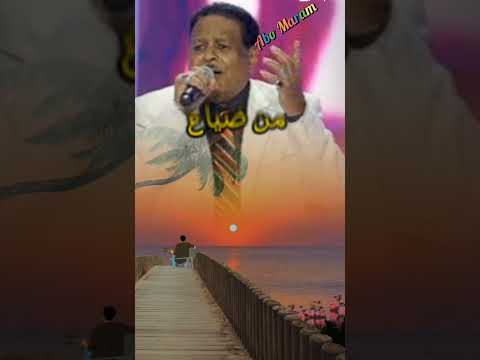 صلاح إبن البادية