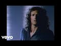 Michael Bolton - Fools Game