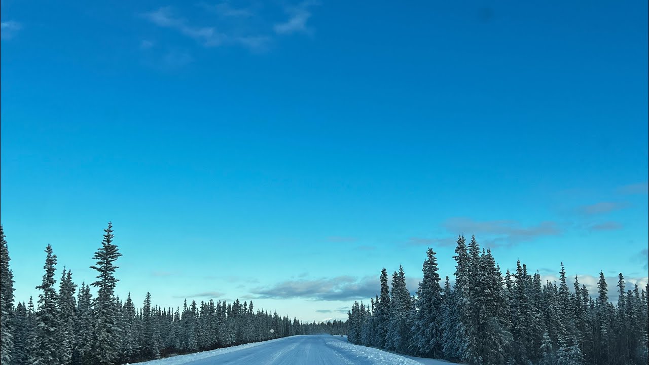 Offgrid living in remote Alaska—making progress 🥰 YouTube