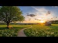 Let Your Thoughts Rest 🌿 Peaceful Relaxation Music for Anxiety and Worry