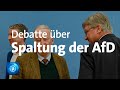 Kritik an Vorstoß von AfD-Parteichef Meuthen