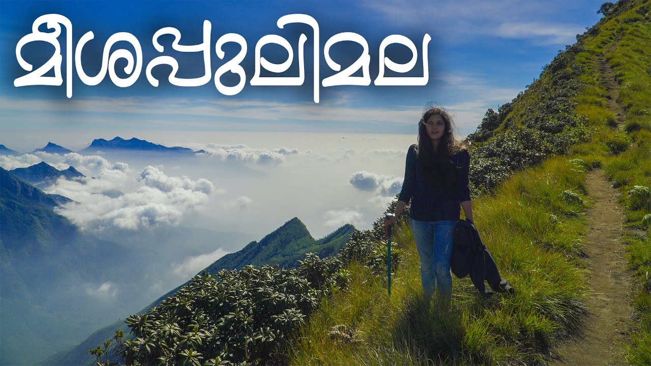 മീശപുലിമലയിലെ താമസവും ട്രെക്കിങ്ങും | Meesapulimala Trekking | Couple vlog | KFDC Munnar Kerala