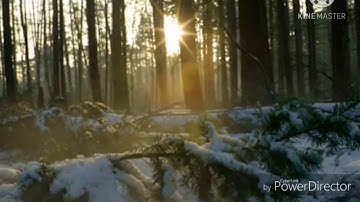 تلاوة صباحية هادئة تبعث الطمأنينة في القلب و السكينة في الروح