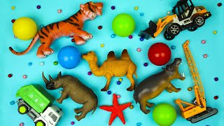 Las mejores figuras de animales para aprender y jugar, animales de plástico, fotos de animales