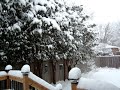 My Snowy Backyard - December 5, 2019.