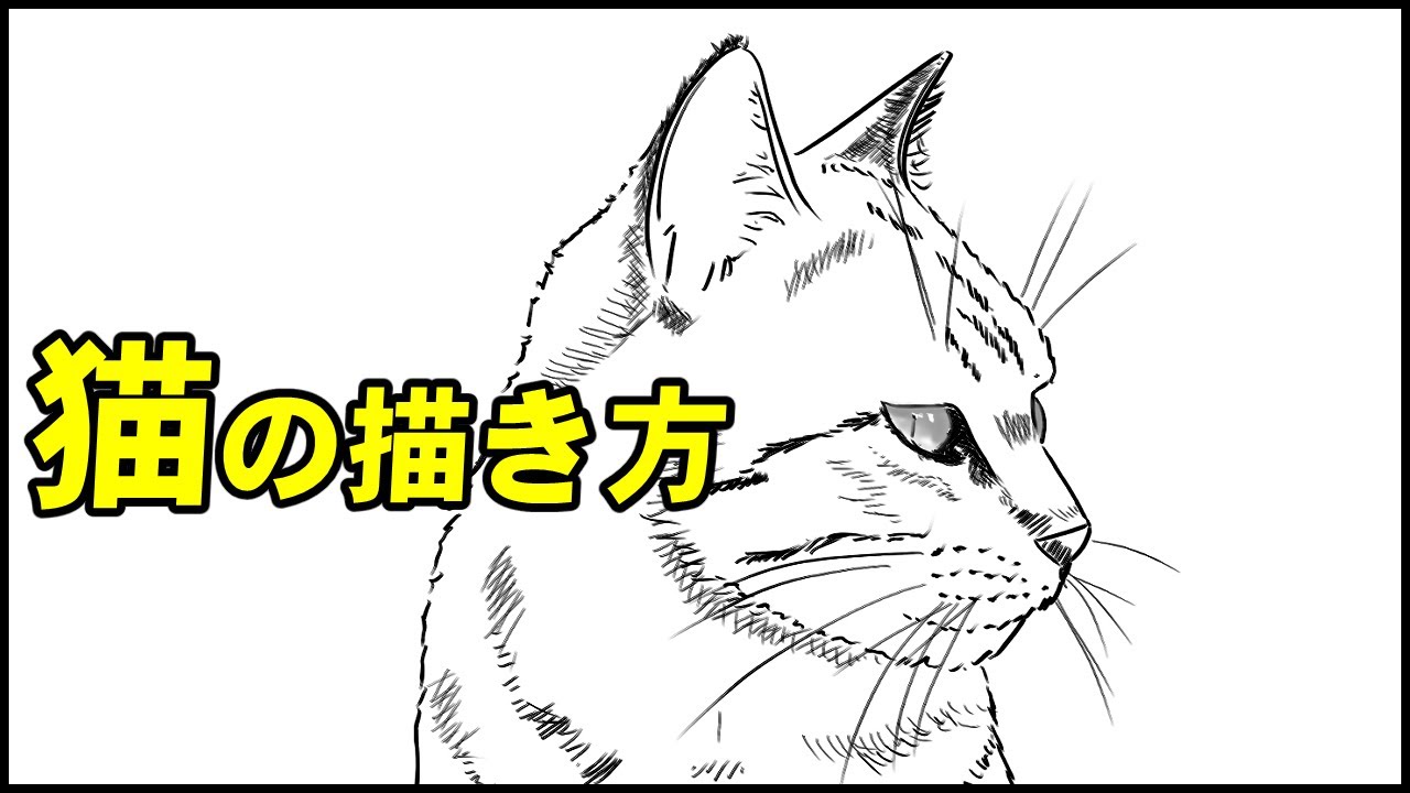 動物の描き方 猫の横顔のイラストが誰でも簡単に上手くなる方法ー中学校の美術で使える動物スケッチの書き方のコツ Youtube