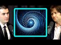 Consciousness is the way information feels when it's being processed | Max Tegmark and Lex Fridman