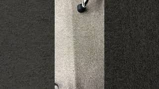 IMG 0702