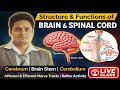 BRAIN & SPINAL CORD⚡ Complete Structure & Functions🔴 LIVE CLASS