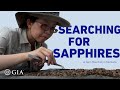 Passion and Searching for Sapphires