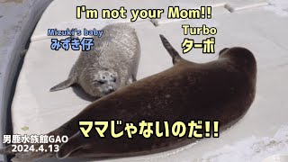 【みずき仔（18日目）ターボママ！？】Mama Turbo？【ママじゃないのだ！！】