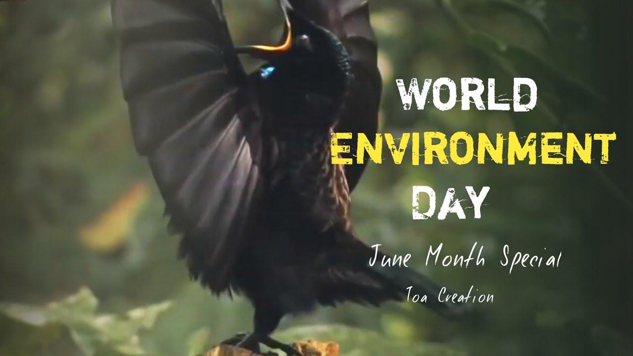 World Environment Day Whatsapp Status Video Song 2020 | Message | Greetings | Wishes | Ringtone