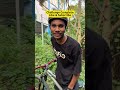 Impossible Challenge😱 #shorts #bmx #stunt #challenge #bike #cycling #shortsfeed #mtblife …￼