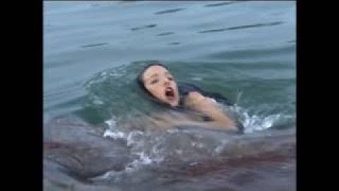 映画『赤い珊瑚礁 オープン・ウォーター』予告編