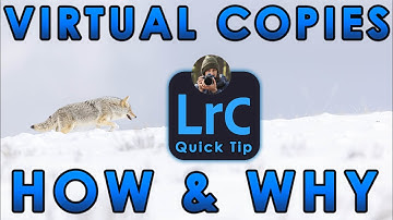 How & Why To Use Virtual Copies In Lightroom Classic