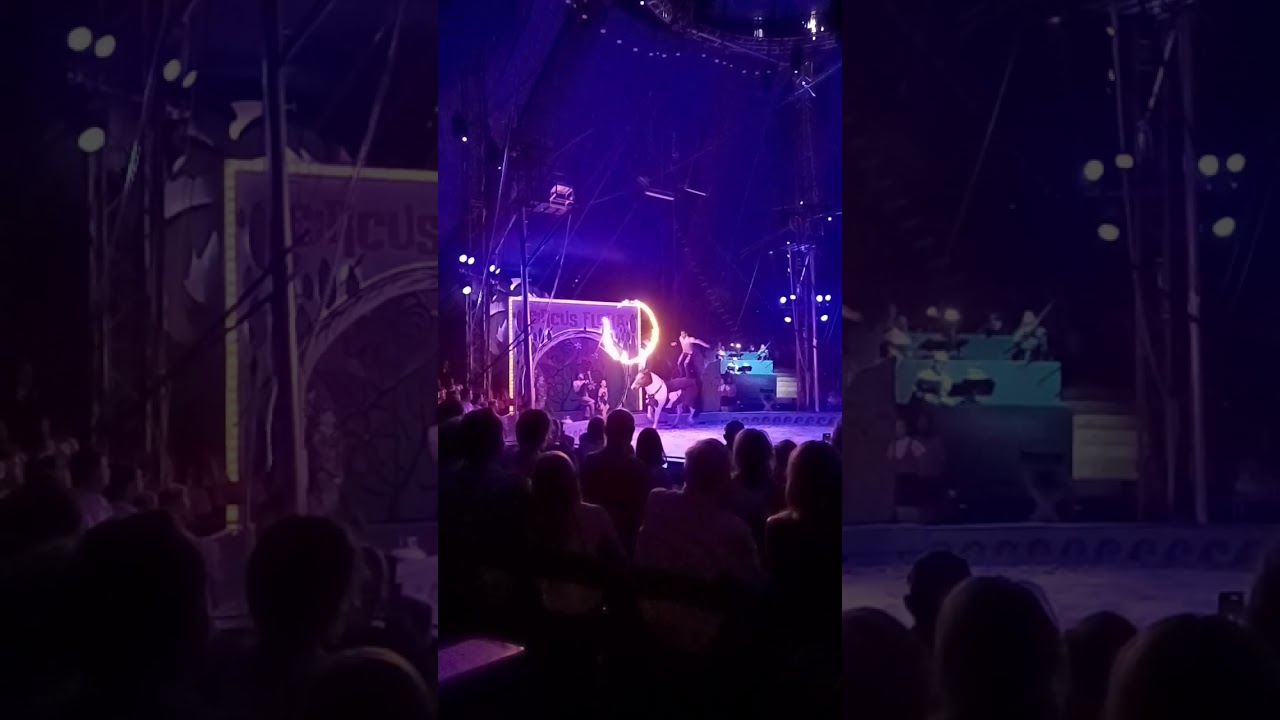 Circus Flora 2024 "Marooned" THE DARING HORSEMAN DUO Ring of Fire