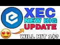 Xec Coin Pumping Regular 😍 🌙 | Ecash Coin New Latest Update | Xec Coin News Today | Xec Crypto