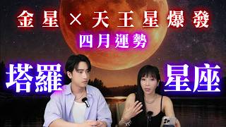 【四月運勢】4/17牡羊新月許願！這次沒許，真的會差很多《 星座＋塔羅 》