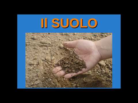 Video: Qual è un altro nome per lo scienziato del suolo cosa fa?