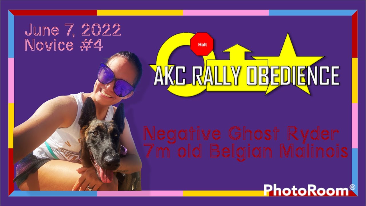 AKC Virtual Novice Obedience Rally Course 4 Negative Ghost Ryder YouTube