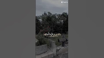 لا اله الا الله محمد رسول الله ♥️.        القران الكريم راحة نفسية