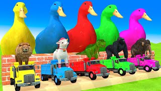 5 Giant Duck, Monkey, Piglet, chicken, dog, cat, lion, cow, Sheep, Transfiguration funny animal 2024 by H2H Animals 3D 11,995 views 2 weeks ago 1 hour, 55 minutes