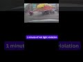 1 minute of red light violation #roadragewithchapri #traffic #accident #roadrage #rider #motovlog
