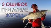 3 Уловистые приманки для ловли Жереха - YouTube