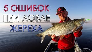 5 ОШИБОК ПРИ ЛОВЛЕ ЖЕРЕХА НА СПИННИНГ! Советы эксперта