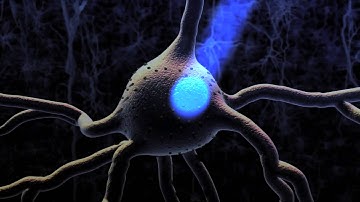 How the Brain Encodes Time and Place