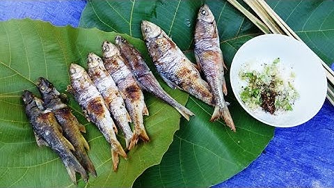 CÁ SUỐI NƯỚNG | Grilled Fish Recipe