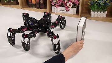 SpiderPi Tutorial--Auto Obstacle Avoidance Function Extension