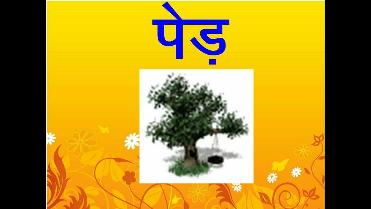 Hindi Words With Ae Ki Maatra For Non Hindi Speaking Adults YouTube