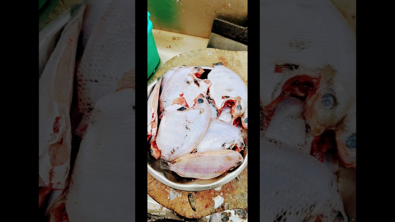 fish cutting video skills 🐠🐟 masli nam karimeen Kerela #viralvideo #fishcutting #kerelafish
