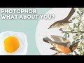 Photophob - What About You?