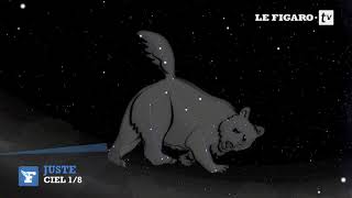 Grande Ourse Et Etoile Polaire