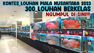 UPDATE JENIS LOUHAN KONTES || PIALA NUSANTARA || PLUIT VILLAGE JAKARTA!!