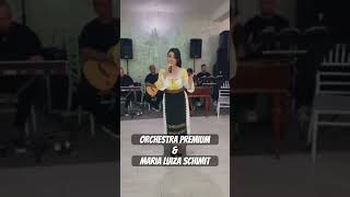 #orchestrapremium #live #formatiedenunta #sarberomanesti #folclorromânesc #marialuizaschimit