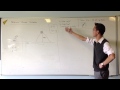Projectile Motion and Velocity Components